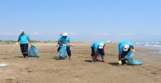 Hatayda Sahillerden 645 Ton Atık Toplandı