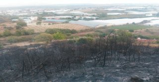 Antalyada Yangında Seralar Zarar Gördü