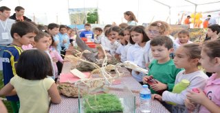 Düzce Üniversitesi Akçakoca Bilime Yelken Açtı Şenliğine Katıldı