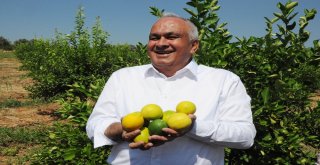 Başkandan Cezeryeli İhracatlık Limon Kesimi