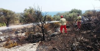 Antalyada Antik Kent Yakınında Çıkan Yangın Korkuttu