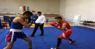 Kayseri Boks Büyük Erkekler Final Maçları Yapıldı