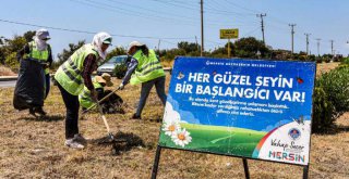 Büyükşehir'den Kapsamlı Refüj Temizliği