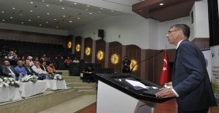 Arkeoloji Temelli Doğa Ve Bilim Kampı Selçukta Tanıtıldı