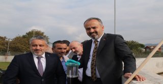 Gemlik Körfezi Artık Kirlenmeyecek