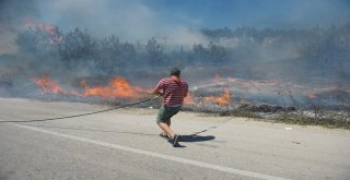 Mudanyadaki Yangının Sigara İzmaritinden Çıktığından Şüpheleniliyor