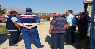 Eskişehirde Kurbanlık Koyunlar Çalındı