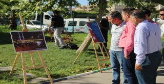 İhanın Şanlıurfadaki 15 Temmuz Sergisi Millet Kıraathanesinde Açıldı