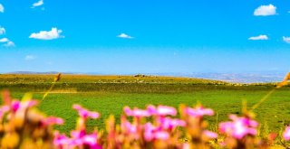 Sarissa Antik Kenti Turizme Kazandırılmayı Bekliyor