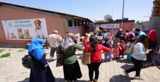 Adıyaman Belediyesi Öğrencilere Hayvan Sevgisini Aşılıyor