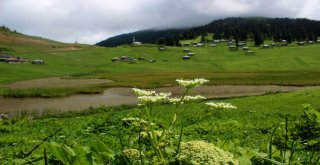 Türkiyede Huzurun Adresi; Karadeniz Yaylaları