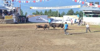 38. Kafkasör Kültür, Turizm Ve Sanat Festivali