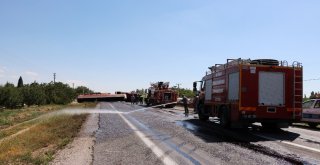 Direksiyon Başında Arının Soktuğu Şoför Kaza Yaptı