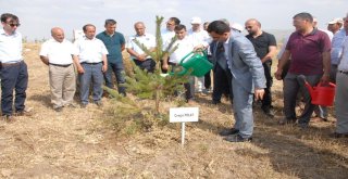 Bulanıkta 15 Temmuz Etkinlikleri Başladı