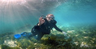 Antalya Valisi, Su Altında Deniz Çayırının Korunmasına Dikkat Çekti