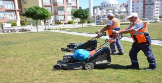 Bozüyük Parklarında Çalışmalar Hız Kesmiyor