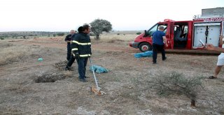 Kuyuya Düşen Kedi İtfaiye Ekiplerince Kurtarıldı