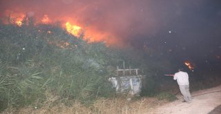 Adıyamanda Korkutan Bahçe Yangını