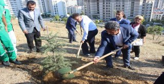 15 Temmuz Şehitlerinin  Her Biri İçin Bir Fidan