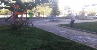 Simavda Park Ve Bahçeler İlaçlanıyor