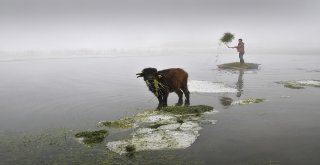 ‘Uluslararası Altın Safran Fotoğraf Yarışması Sona Erdi