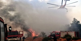 Yunan Hükümetinden Yangın Tazminatı