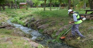 Türbin Mesire Alanında Bakım Ve Temizlik Çalışmaları