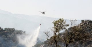 Yangın, Tarım Arazisinde Başlayıp Ormana Sıçradı