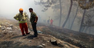 Antalyada Orman Yangını  (1)