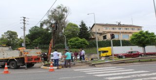 Orduda Aynı Araçta 2Si Çocuk 5 Kişi Yaralandı