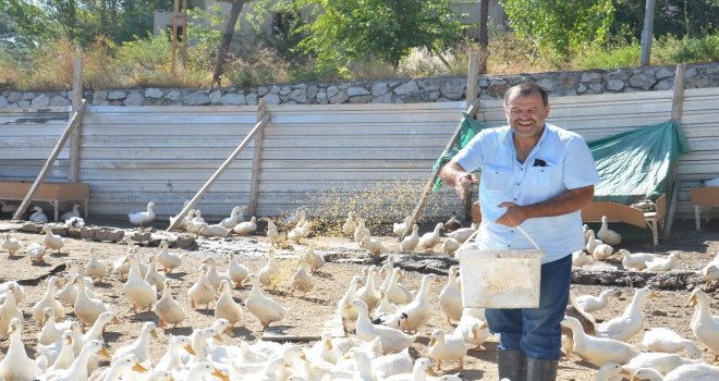 Hobi Olarak Başlamışlardı, Şimdi Taleplere Yetişemiyorlar