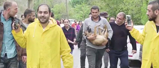 Başına Sıkışan Bidonla Kaybolan Köpek Kurtarıldı