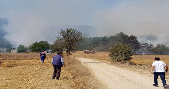 Boluda Orman Yangını