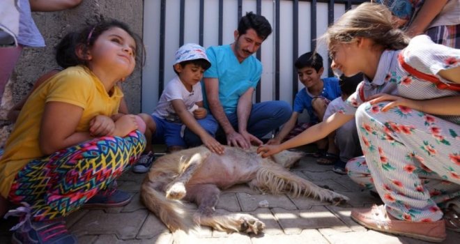 Adıyaman Belediyesi Öğrencilere Hayvan Sevgisini Aşılıyor