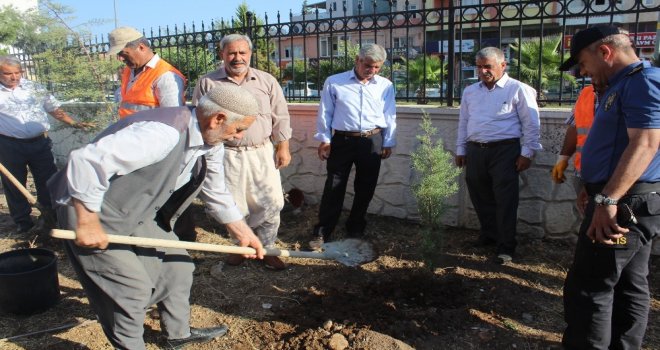 Kahta İlçesinde Şehitler İçin Fidan Dikildi