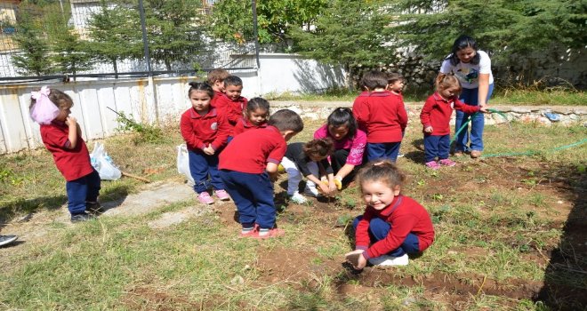 Küçük Bahçıvanlar İş Başında