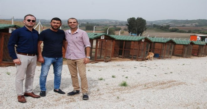 Üç Doğa Ve Hayvansever Pet Otel Kurdu