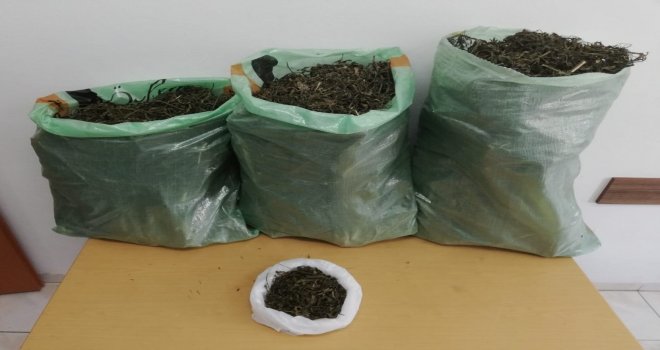 Sakaryada 11 Kilogram 900 Gram Esrar Ele Geçirildi