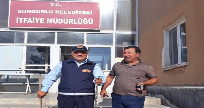 Camide Yılan Paniğe Neden Oldu