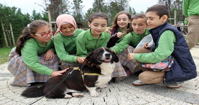 İbb, Bahçemde Sevgi Projesiyle Çocuklara Sokak Hayvanları Bakımı Eğitimi Veriyor