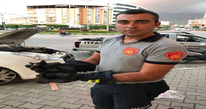 Aracın Motor Bölümünde Sıkışan Kediyi İtfaiye Kurtardı