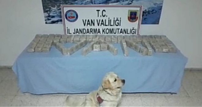 Jandarma Uyuşturucu Tacirlerine Aman Vermedi