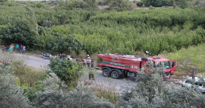 Mersinde Zeytinlik Ve Ormanlık Alanda Yangın