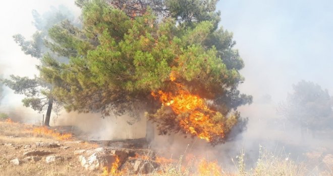 Adıyamanda Orman Yangını