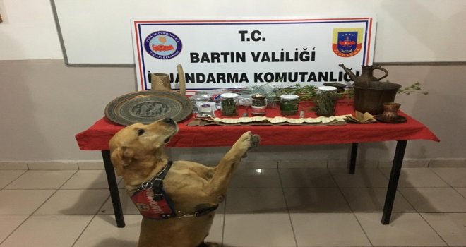 Evindeki Uyuşturucuyu Cesurdan Saklayamadı