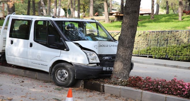 Kontrolden Çıkan Kamyonet Çam Ağacına Çarparak Durabildi