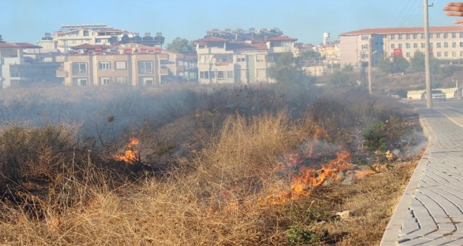 Antalyada 2 Noktada Orman Yangını