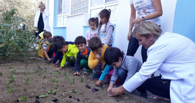 Çeşmede, Minik Eller Sebze Fidanı Dikti