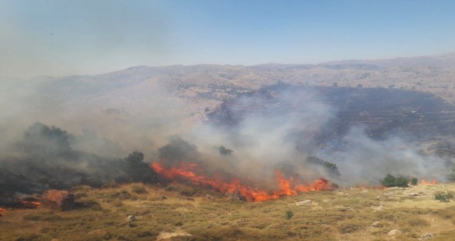 Adıyamanda Orman Yangını