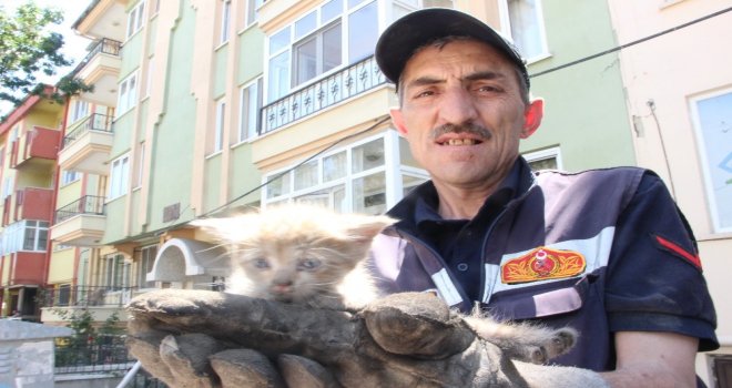 Gece Kurtarılan Yavru Kedi Tekrar Aynı Araçta Mahsur Kaldı